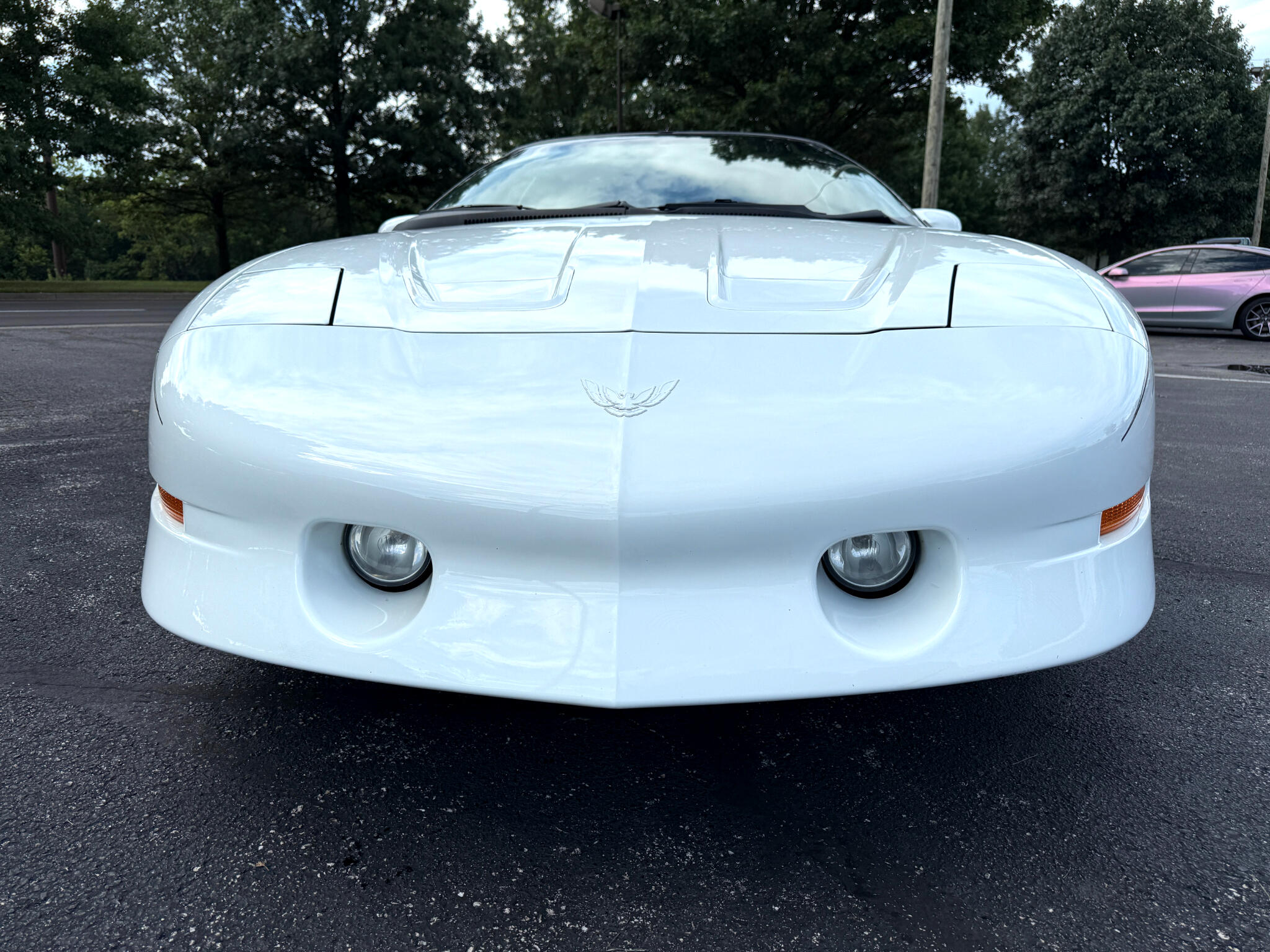 1995 Pontiac Firebird TRANS AM photo 7