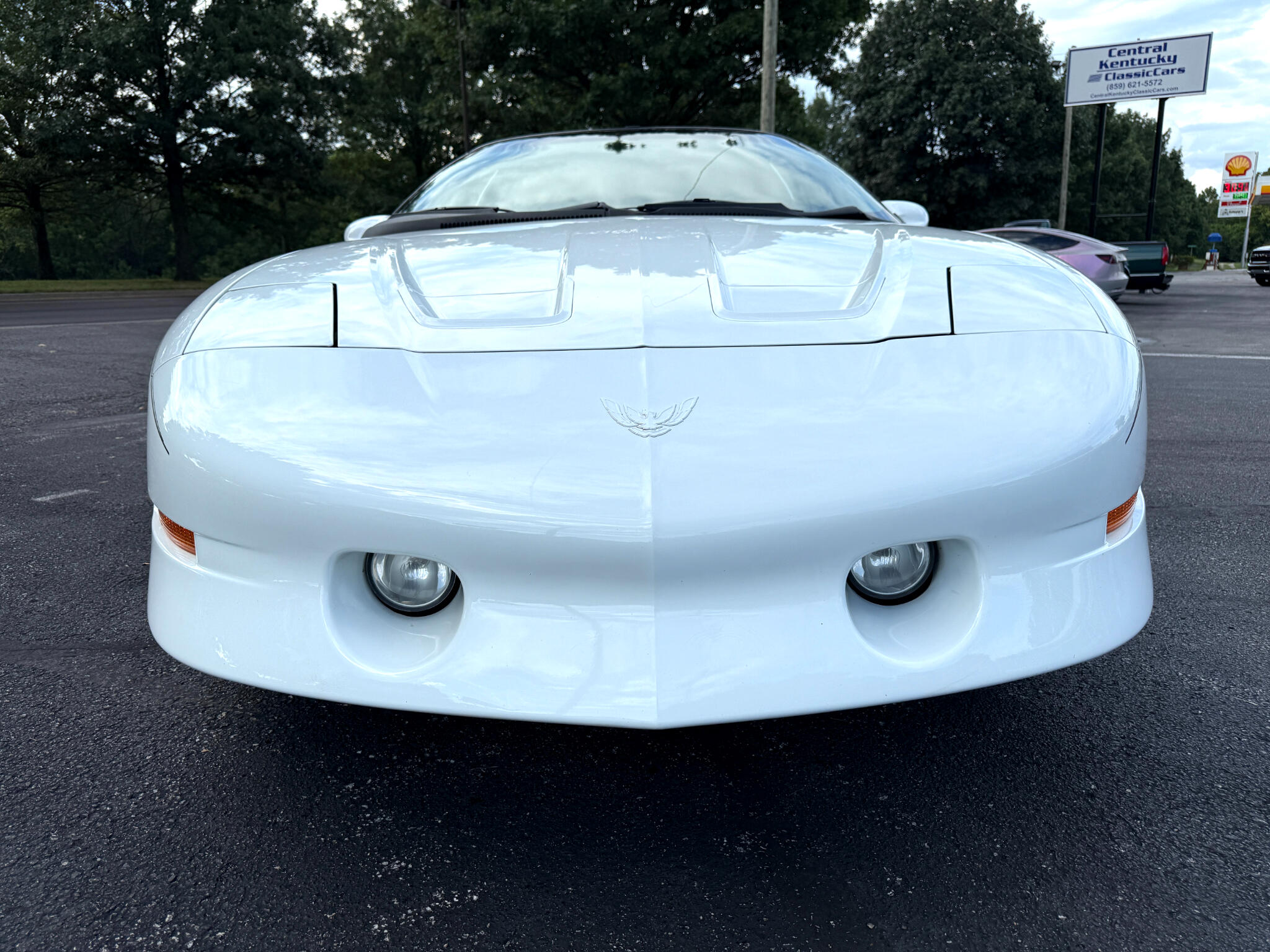1995 Pontiac Firebird TRANS AM photo 8