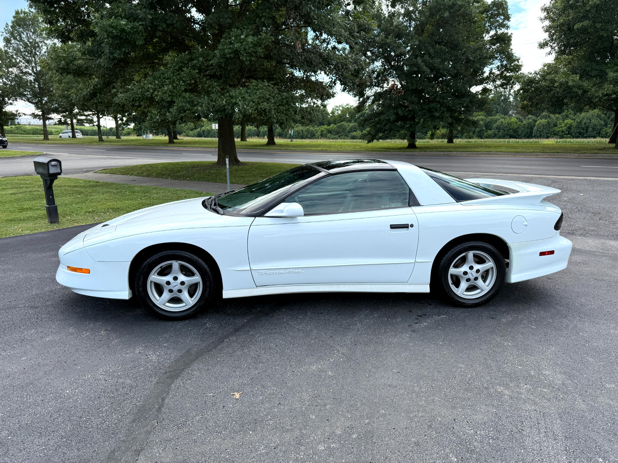 1995 Pontiac Firebird TRANS AM photo 9