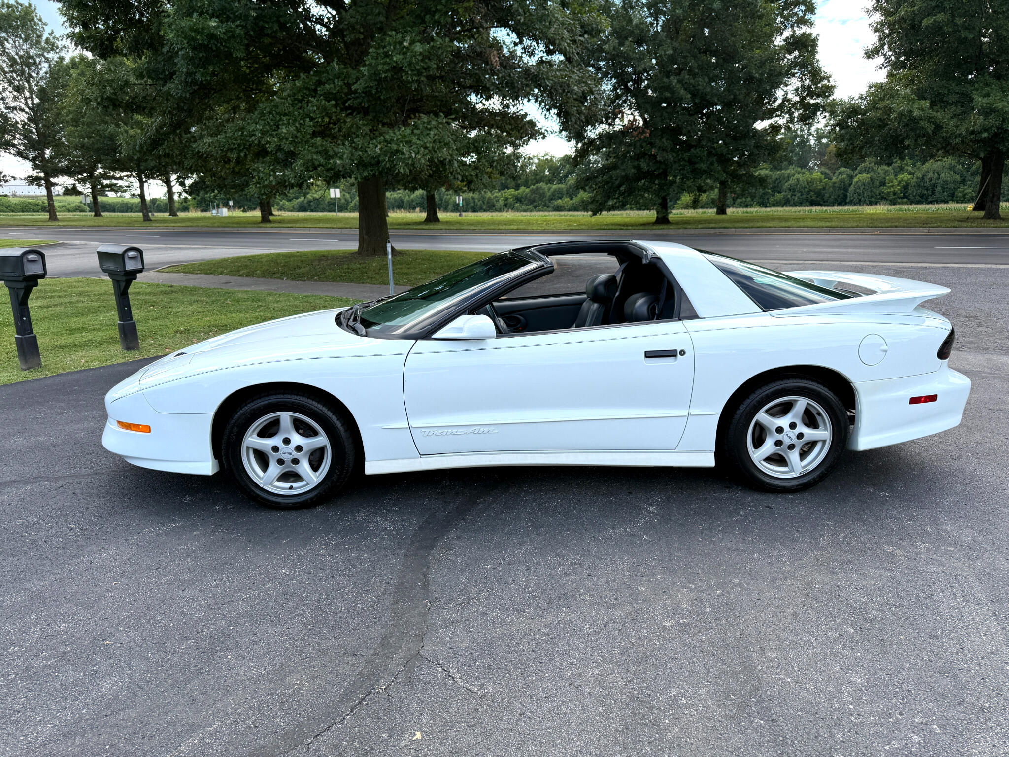 1995 Pontiac Firebird TRANS AM photo 10