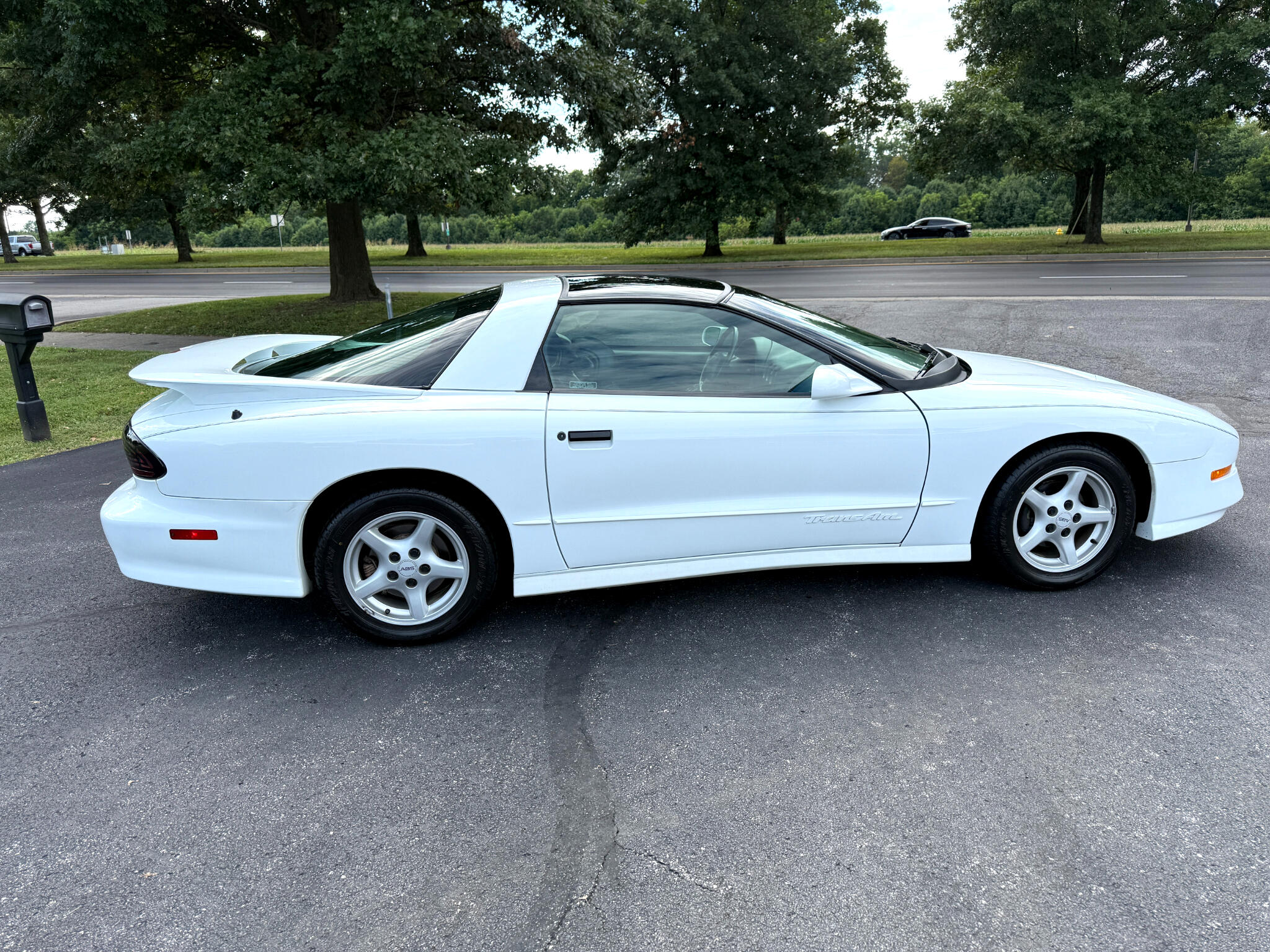 1995 Pontiac Firebird TRANS AM photo 17