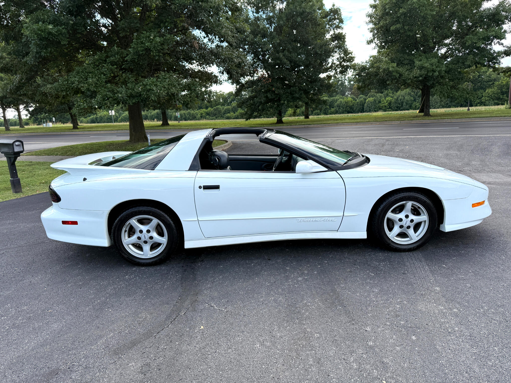 1995 Pontiac Firebird TRANS AM photo 18