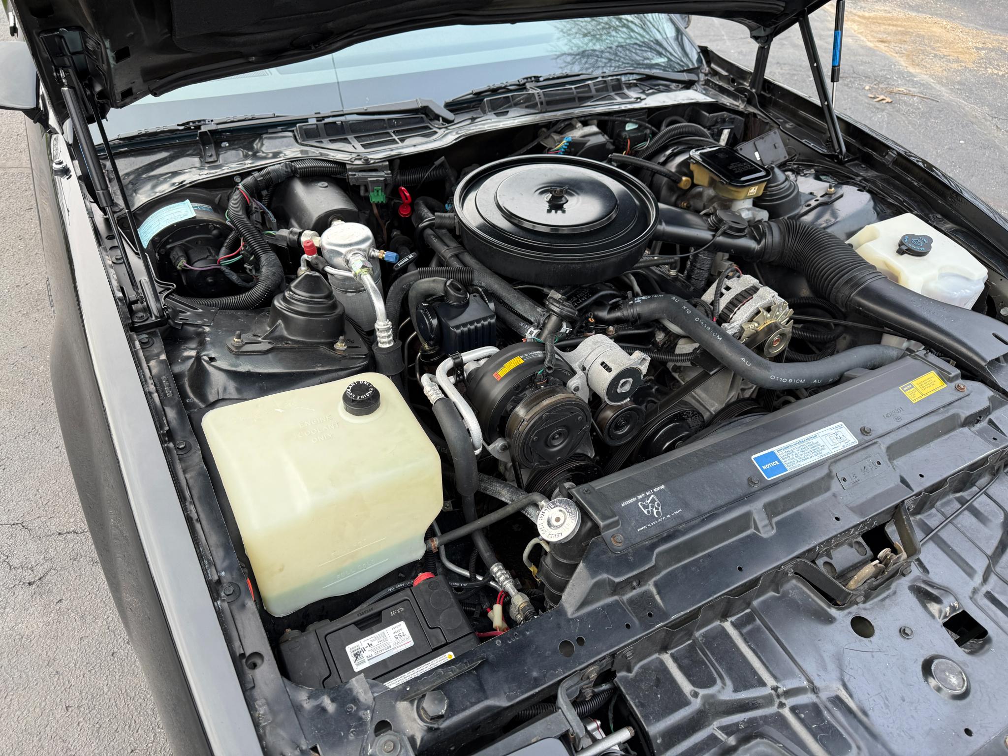 Pontiac Firebird  1991