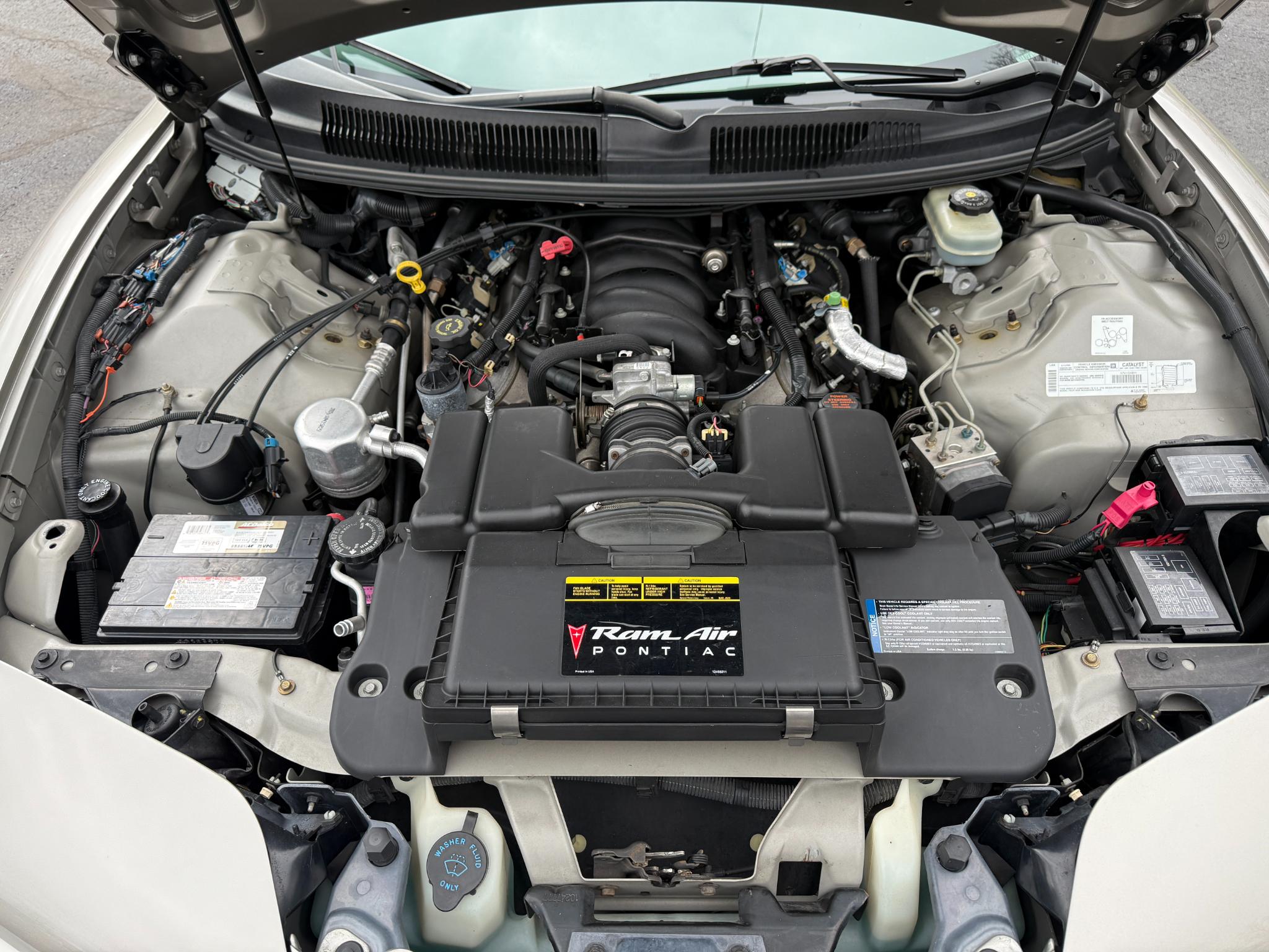 Pontiac Firebird  1999