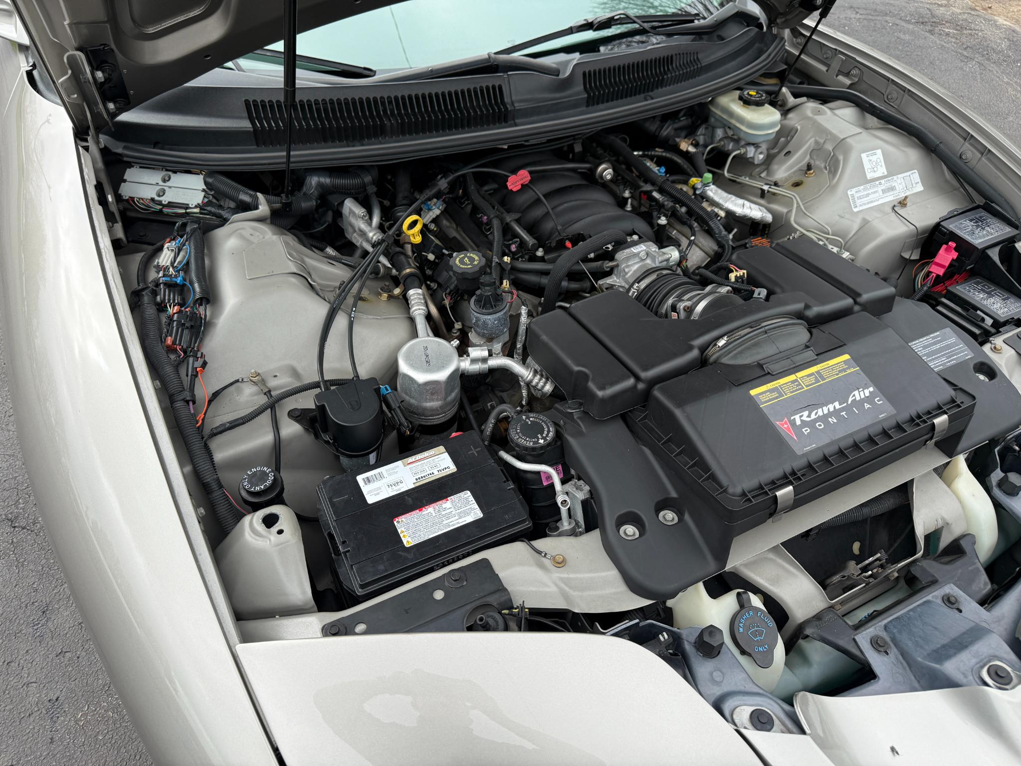 Pontiac Firebird  1999