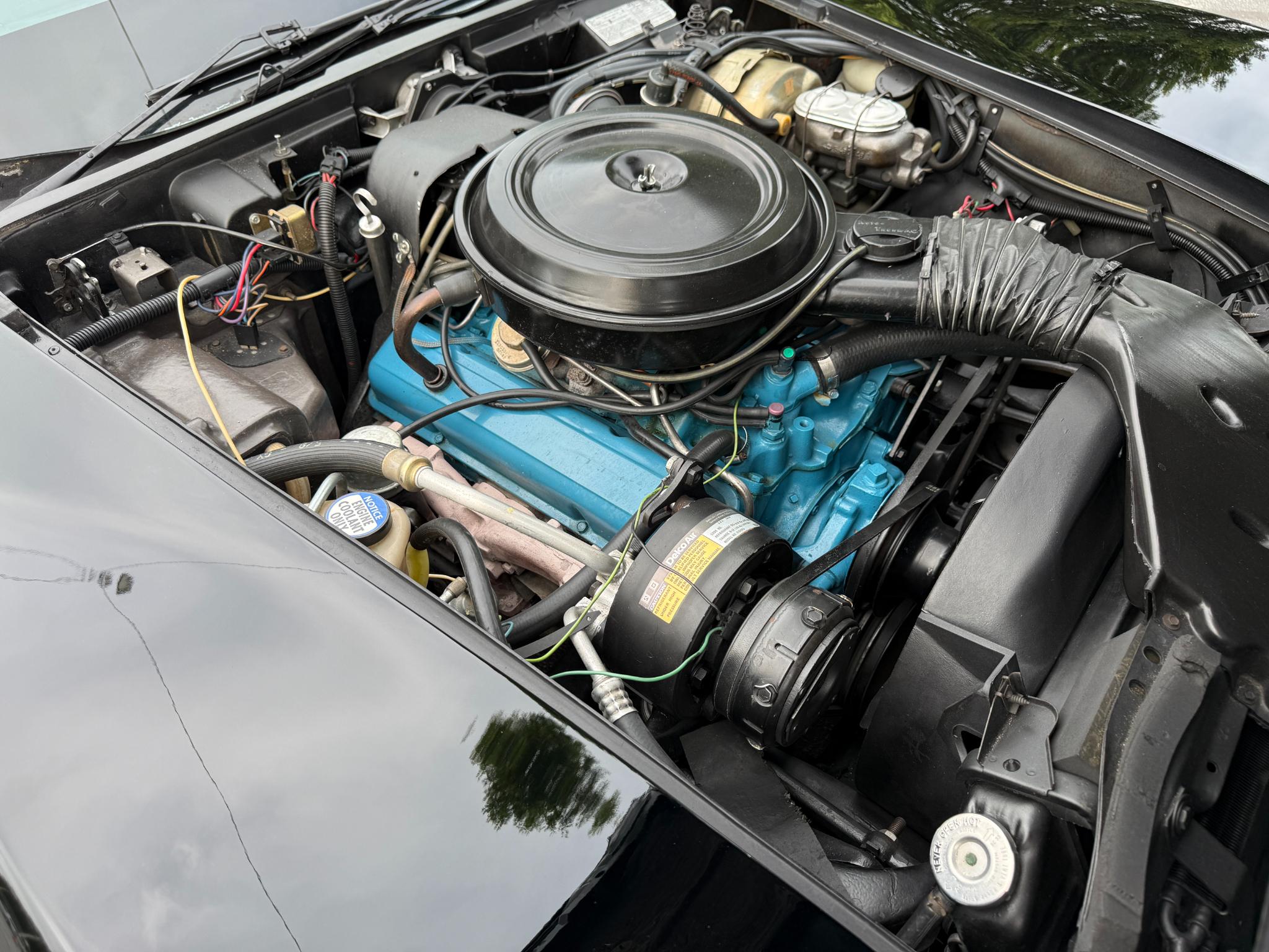 Chevrolet Corvette  1978