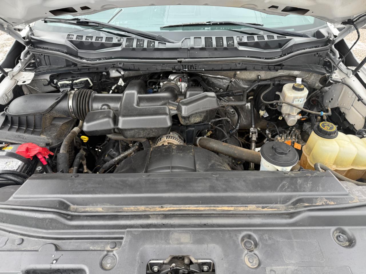 Ford F-250 SD XL Crew Cab 4WD 2019