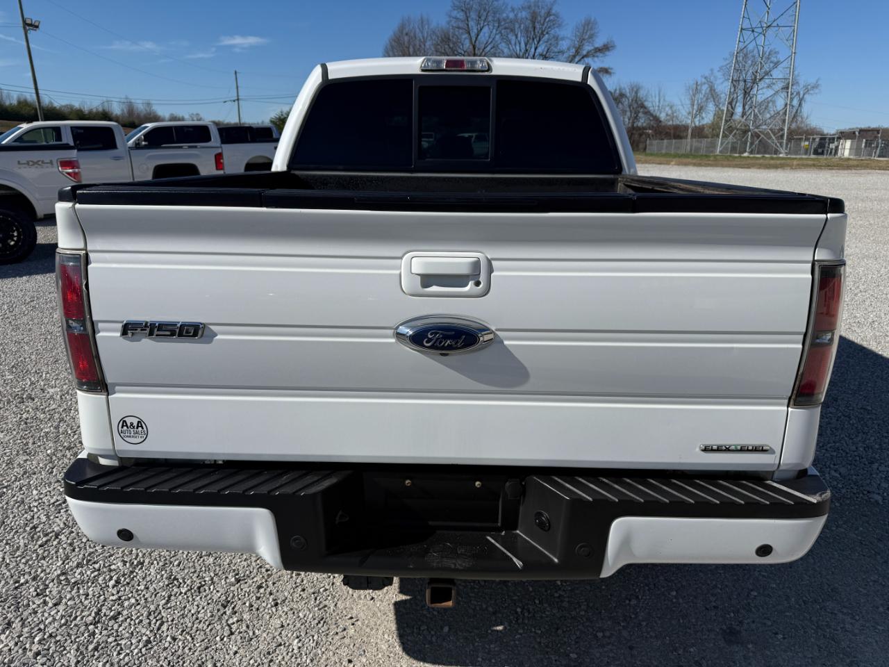 Ford F-150 FX4 SuperCrew 4WD 2013