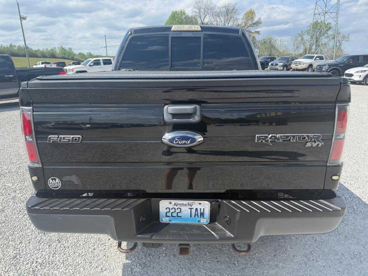 Ford F-150 SVT Raptor SuperCrew 5.5-ft. Bed 4WD 2012