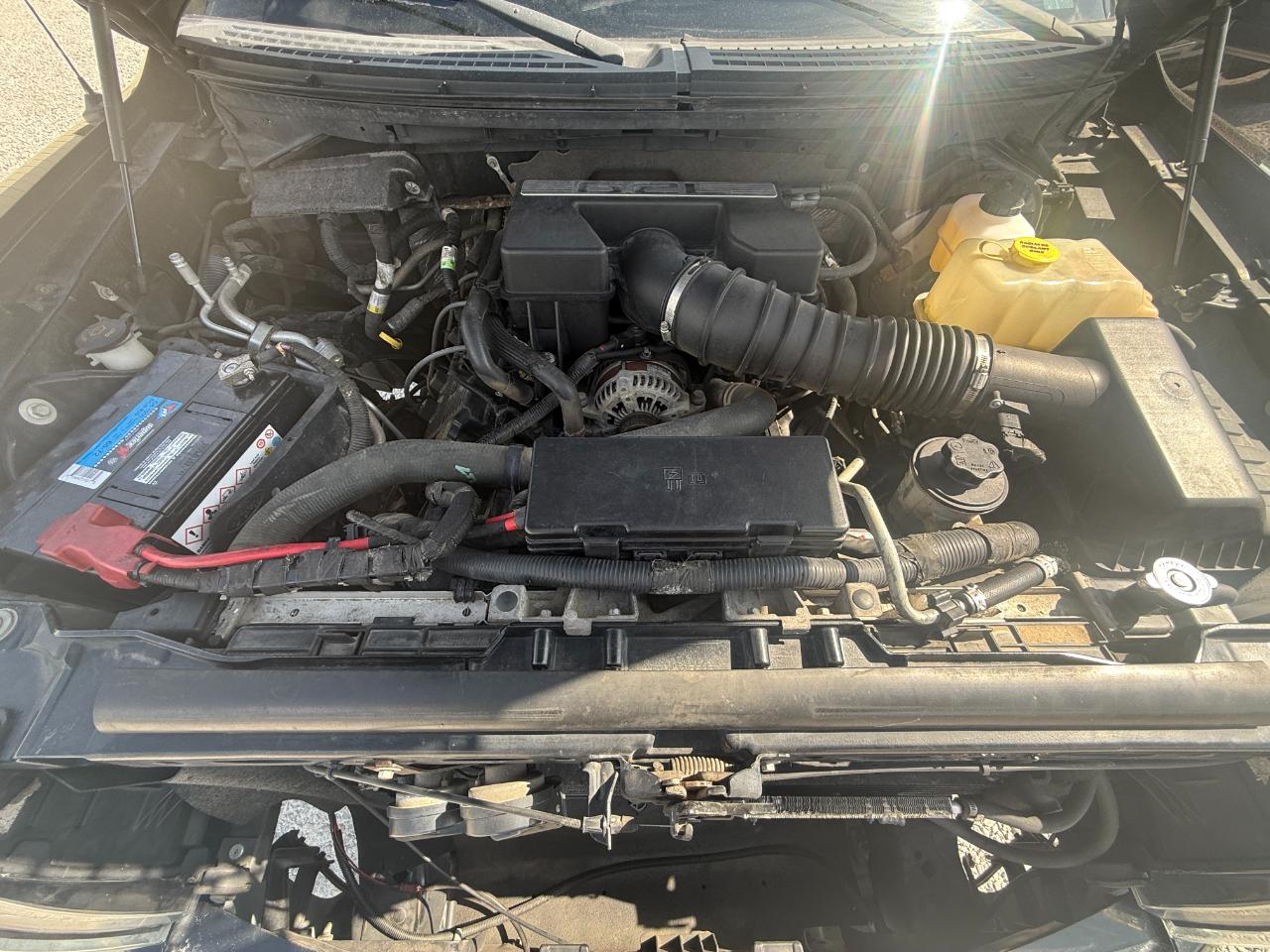 Ford F-150 SVT Raptor SuperCrew 5.5-ft. Bed 4WD 2012