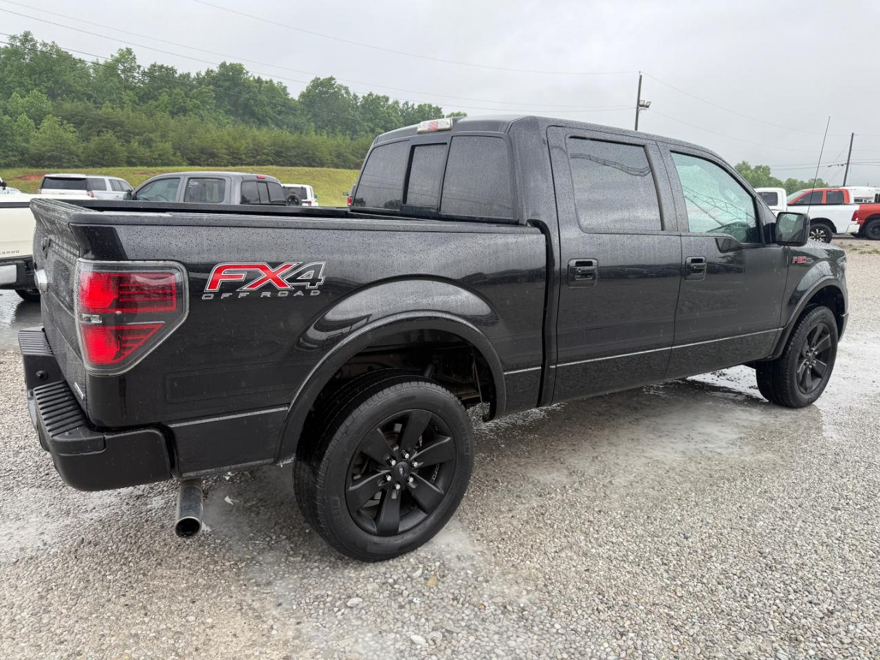 Ford F-150 XLT SuperCrew 6.5-ft. Bed 4WD 2013
