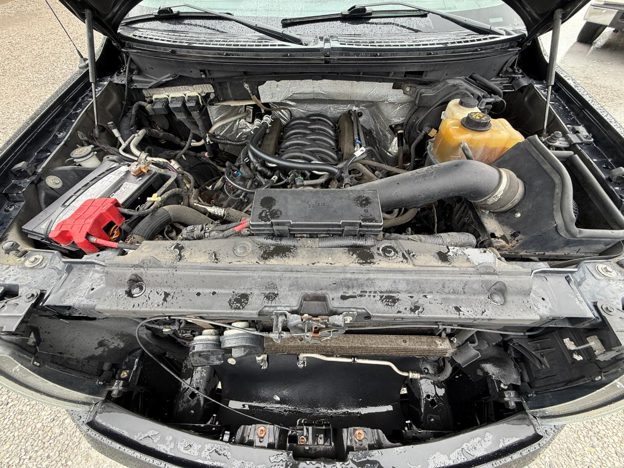 Ford F-150 XLT SuperCrew 6.5-ft. Bed 4WD 2013
