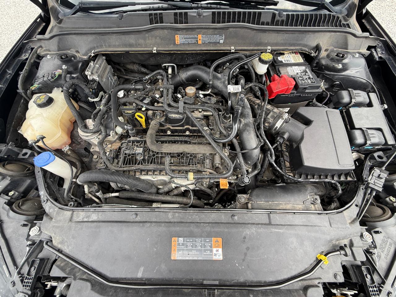Ford Fusion SE 2019
