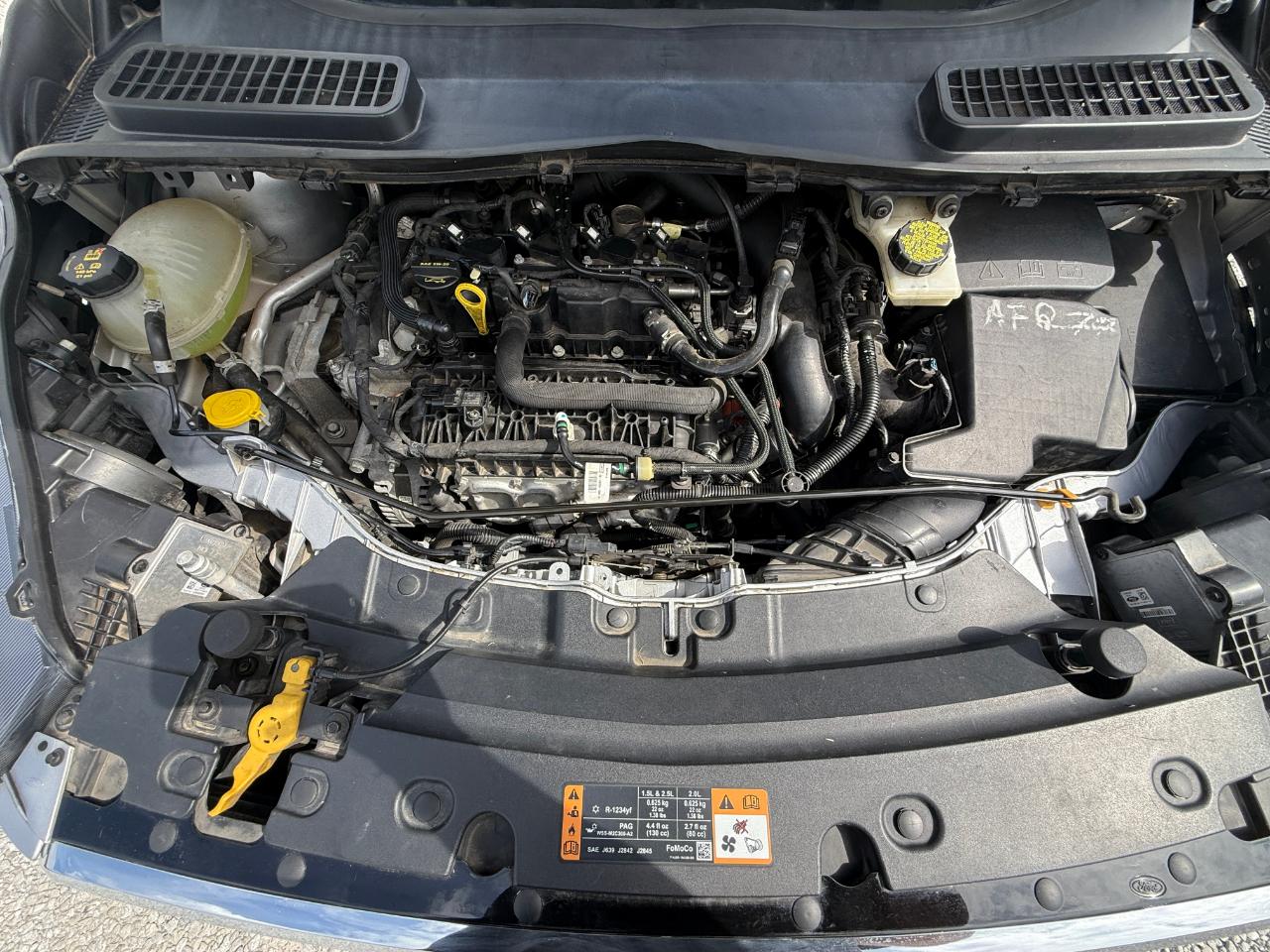 Ford Escape SE 4WD 2019