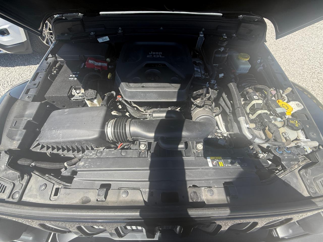 Jeep Wrangler Unlimited Sahara 2019