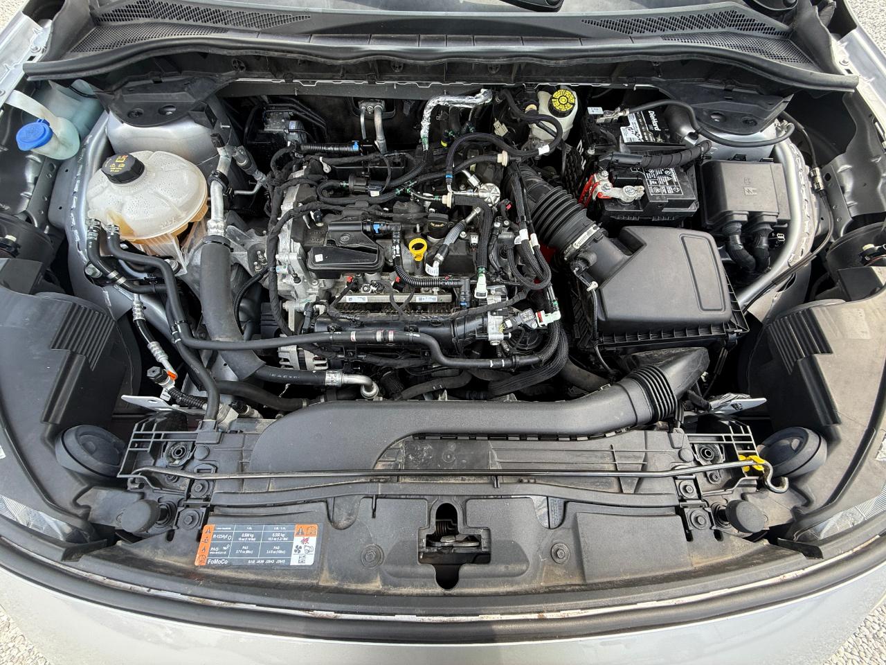 Ford Escape SE 2020