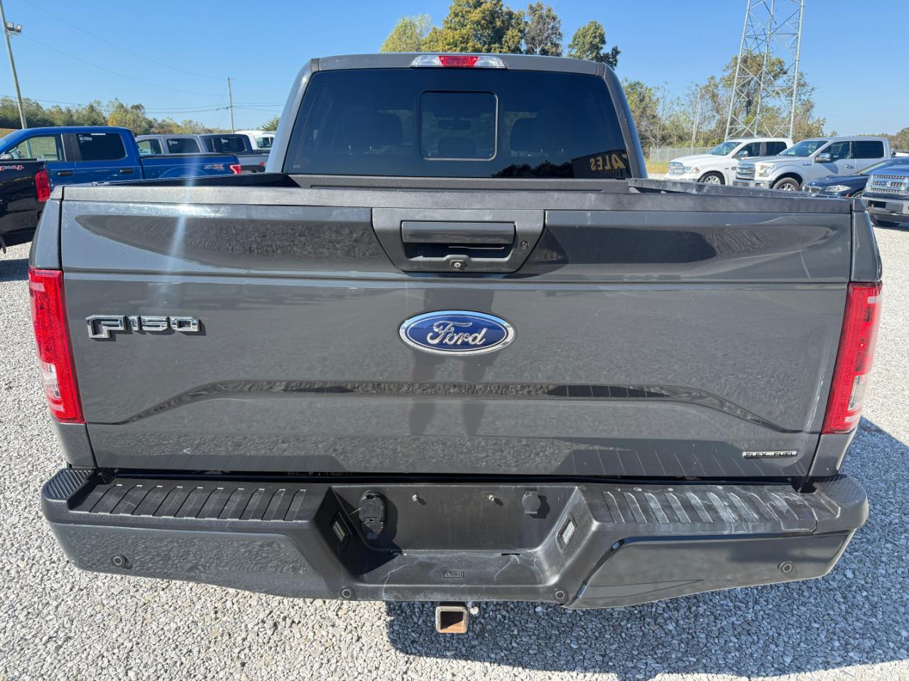 Ford F-150 XLT SuperCrew 5.5-ft. Bed 4WD 2016