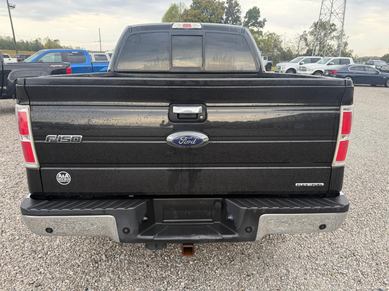 Ford F-150 XLT SuperCrew 5.5-ft. Bed 4WD 2013