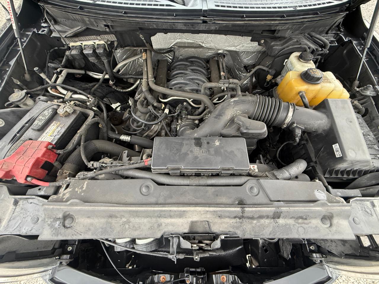 Ford F-150 XLT SuperCrew 5.5-ft. Bed 4WD 2013