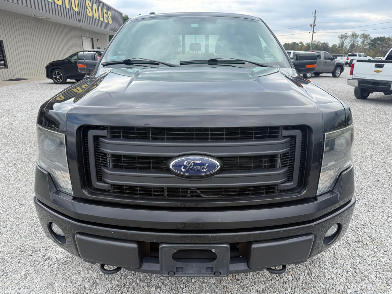 Ford F-150 FX4 SuperCrew 5.5-ft. Bed 4WD 2013