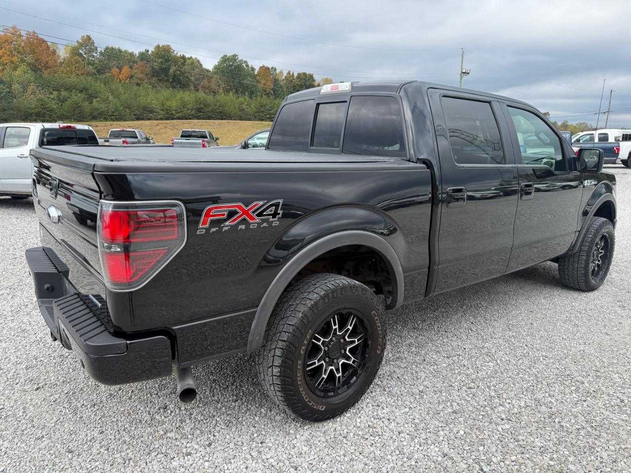 Ford F-150 FX4 SuperCrew 5.5-ft. Bed 4WD 2013