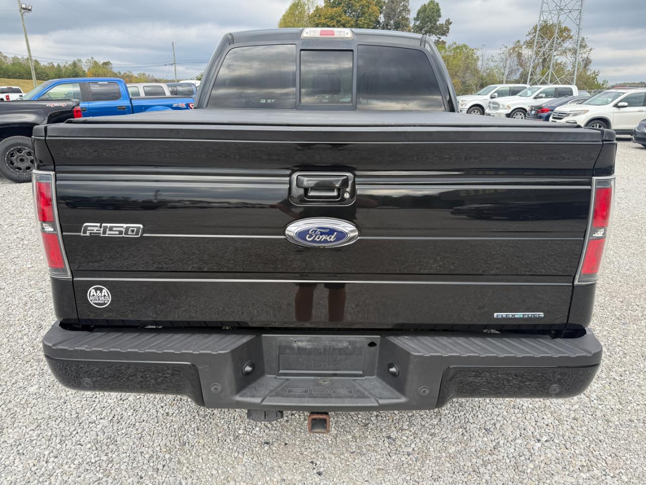 Ford F-150 FX4 SuperCrew 5.5-ft. Bed 4WD 2013