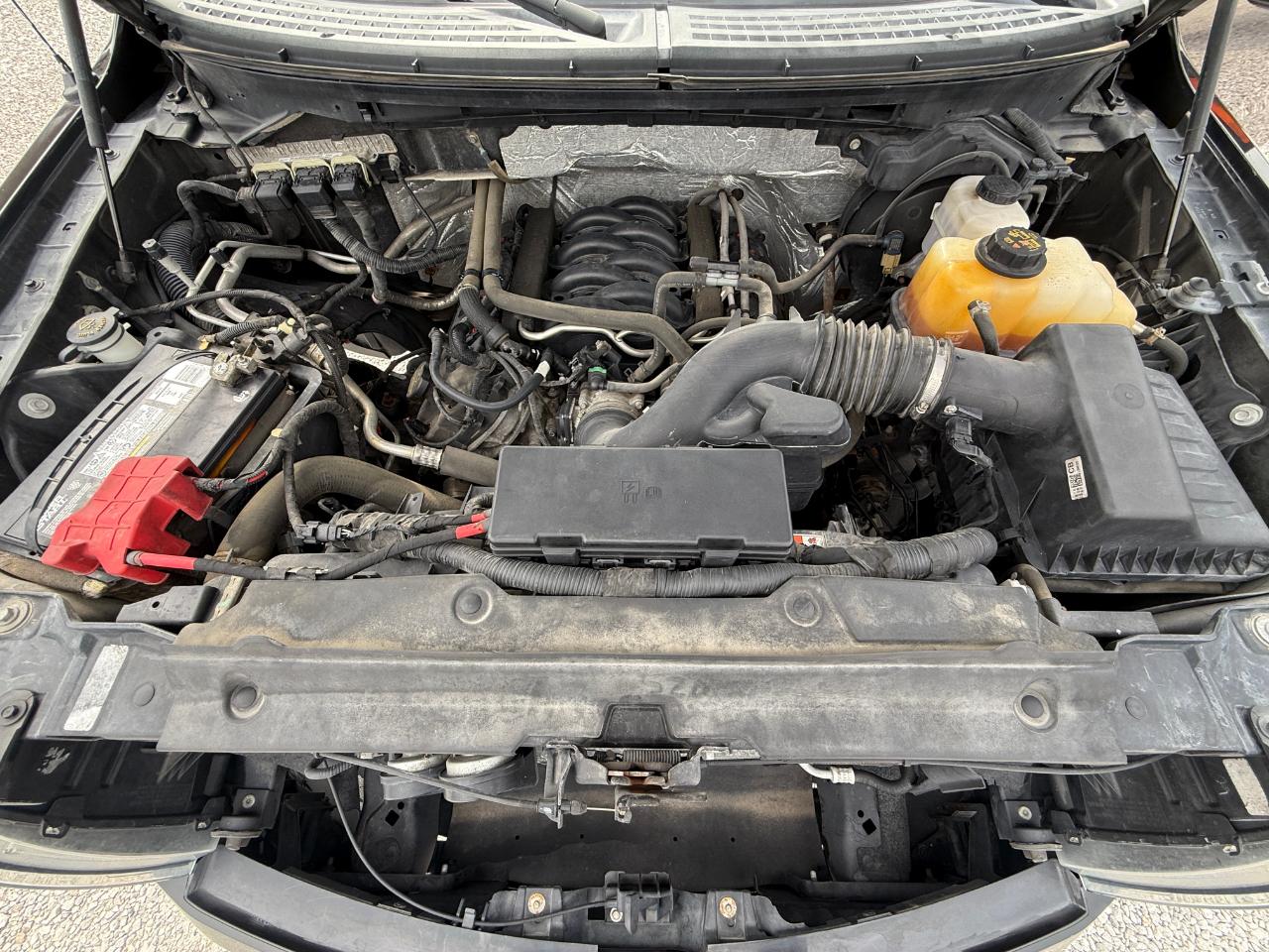 Ford F-150 FX4 SuperCrew 5.5-ft. Bed 4WD 2013