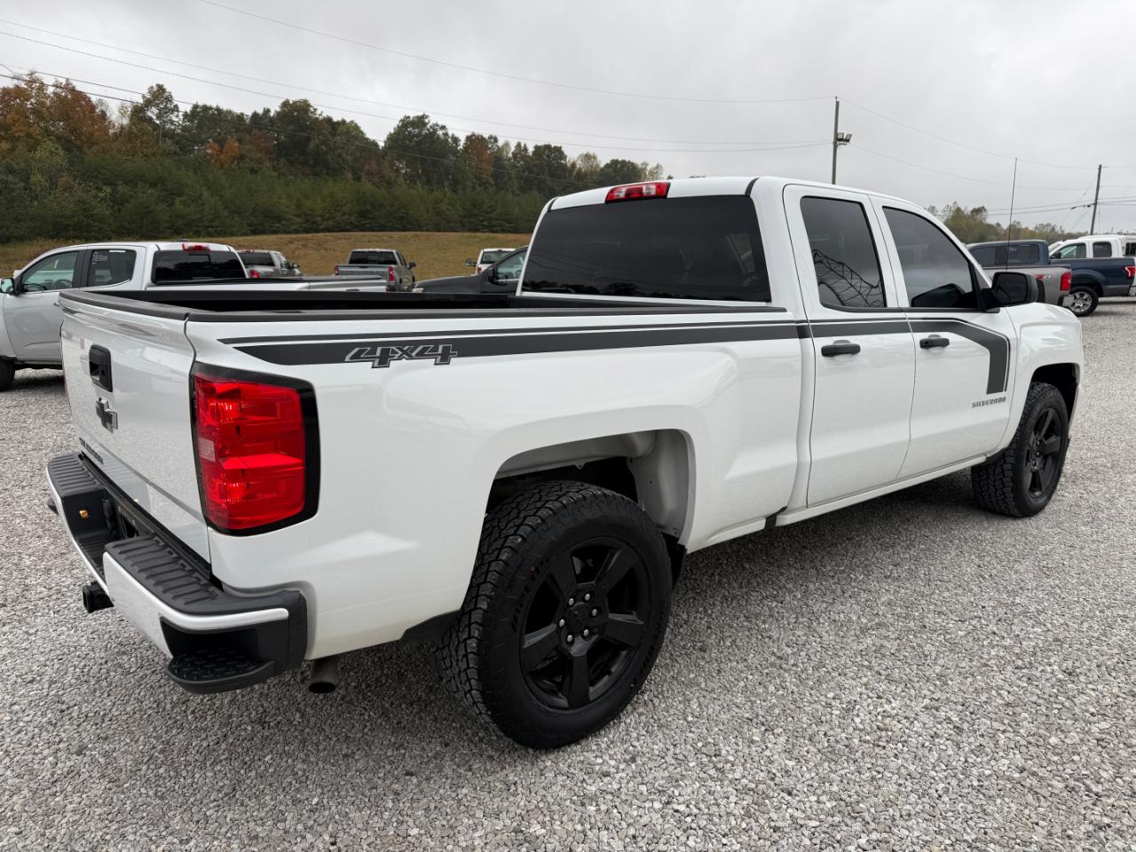 Chevrolet Silverado 1500 Custom Double Cab 4WD 2017
