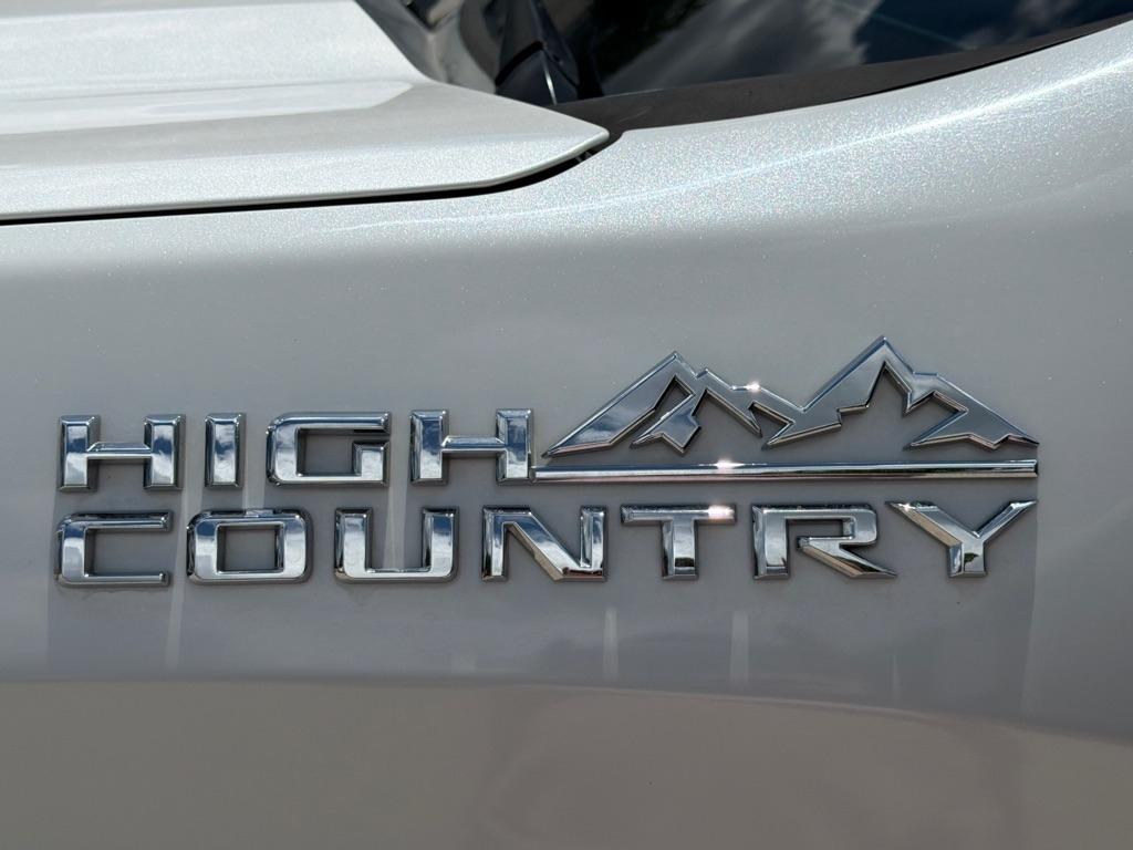 Chevrolet Silverado 1500  2019