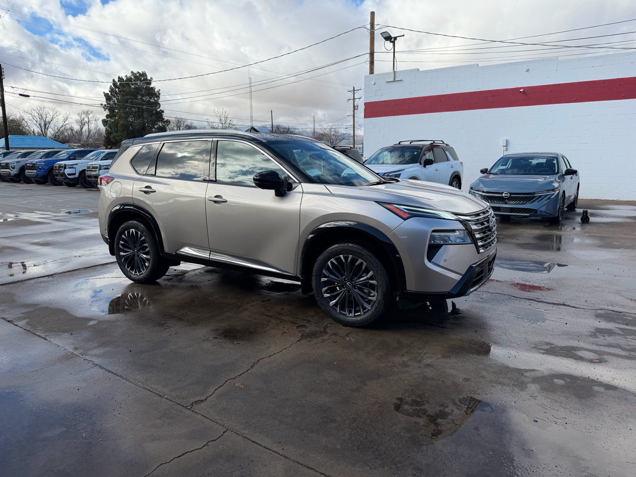 Nissan Rogue AWD Platinum *Ltd Avail* 2026