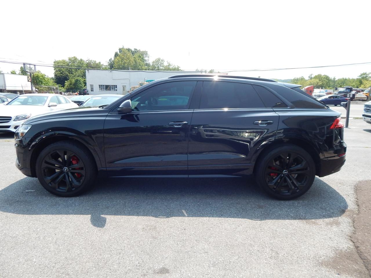Audi Q8 Premium Plus 55 TFSI quattro 2019