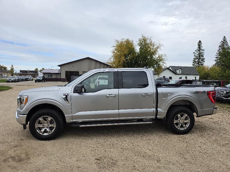 Ford F-150 XL SuperCrew 6.5-ft. Bed 4WD 2021