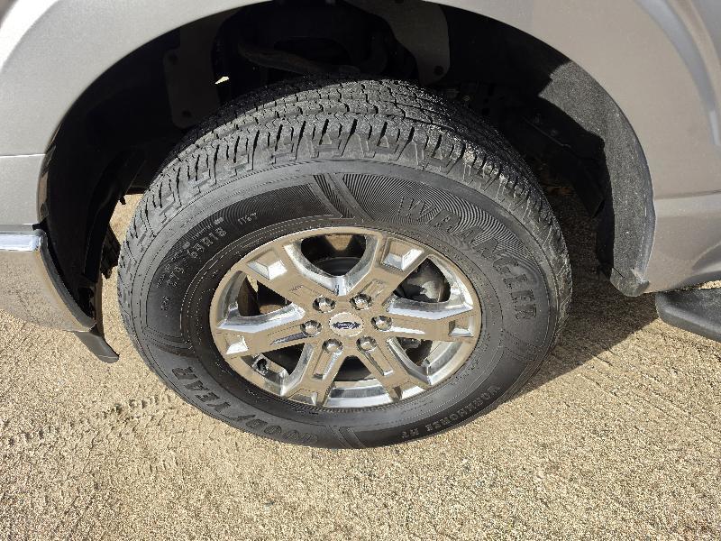 Ford F-150 XL SuperCrew 6.5-ft. Bed 4WD 2021