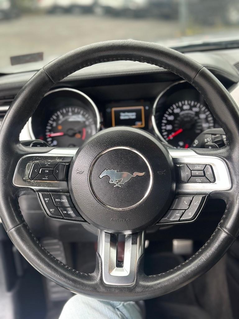 Ford Mustang EcoBoost Fastback 2017