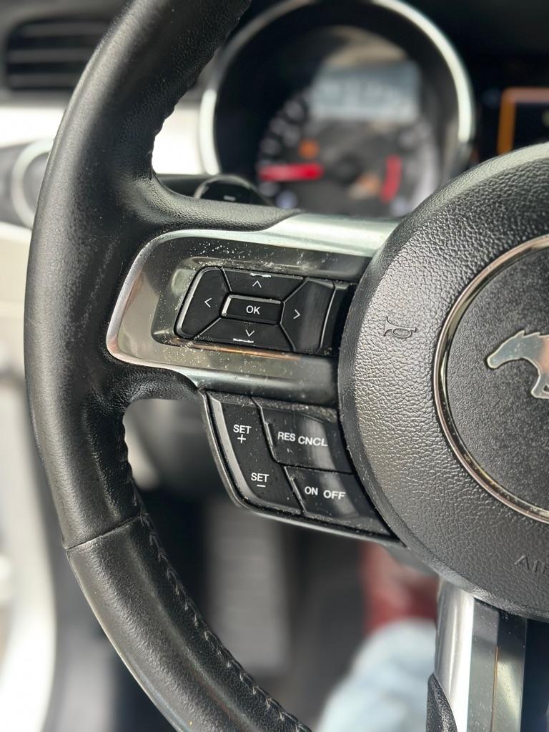 Ford Mustang EcoBoost Fastback 2017