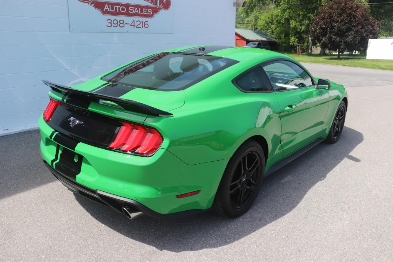 Ford Mustang EcoBoost Fastback 2019
