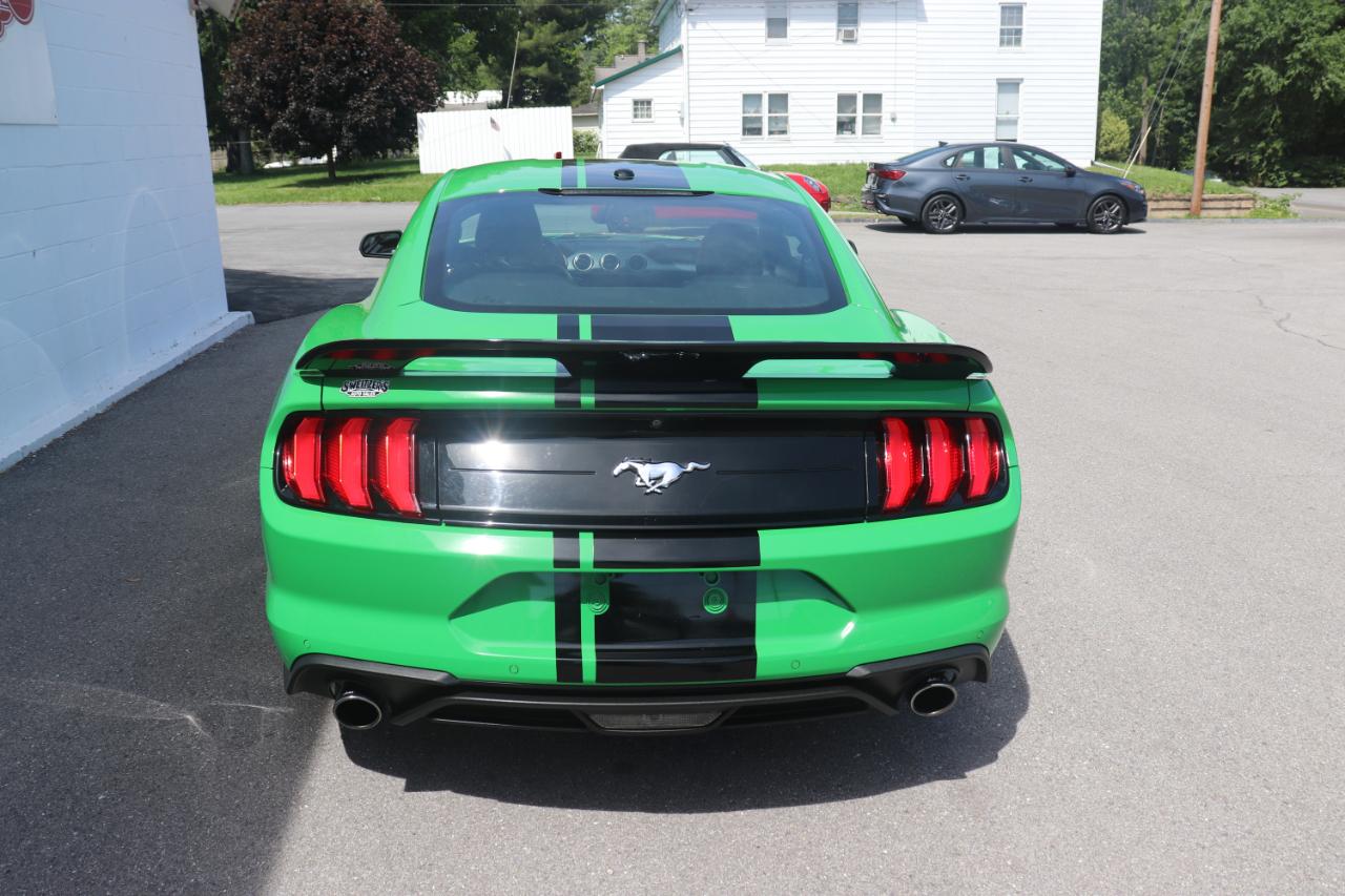 Ford Mustang EcoBoost Fastback 2019