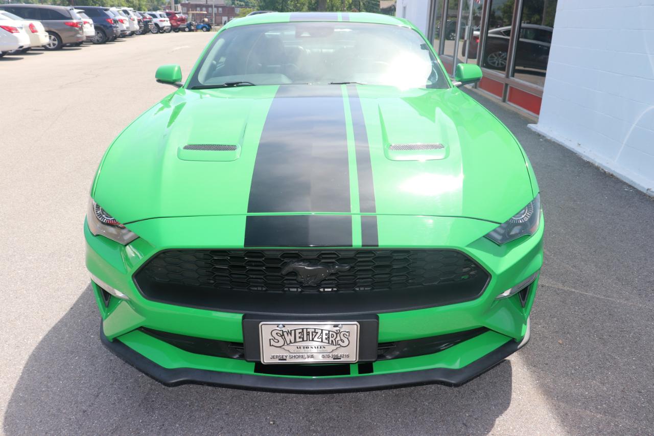Ford Mustang EcoBoost Fastback 2019