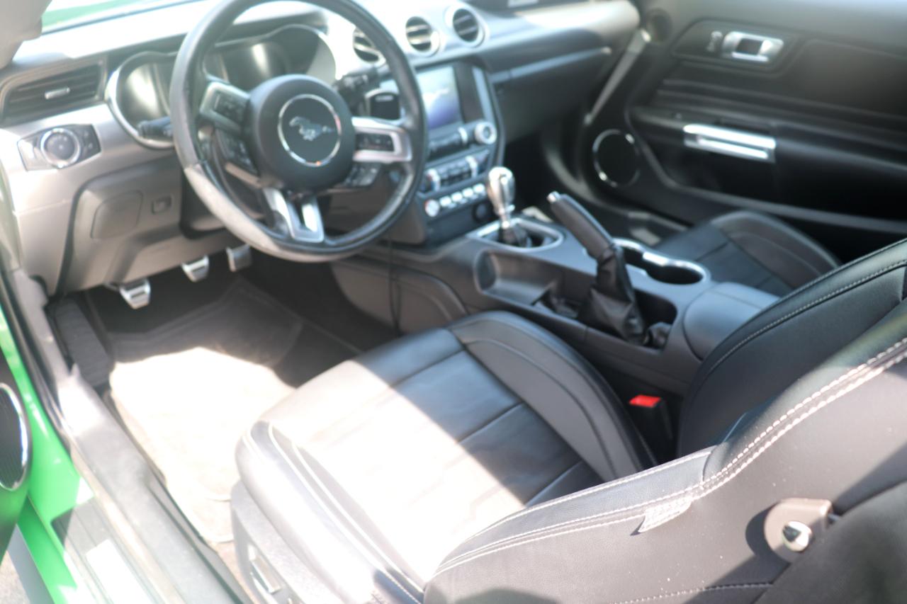 Ford Mustang EcoBoost Fastback 2019