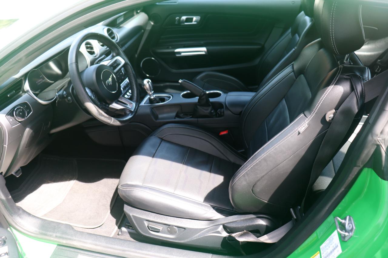 Ford Mustang EcoBoost Fastback 2019