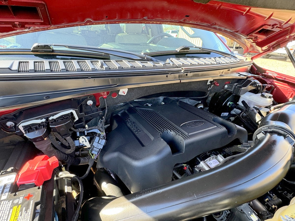 Ford Expedition XLT 4x4 2019