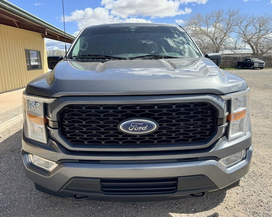 Ford F-150 XL 4WD SuperCrew 5.5' Box 2021