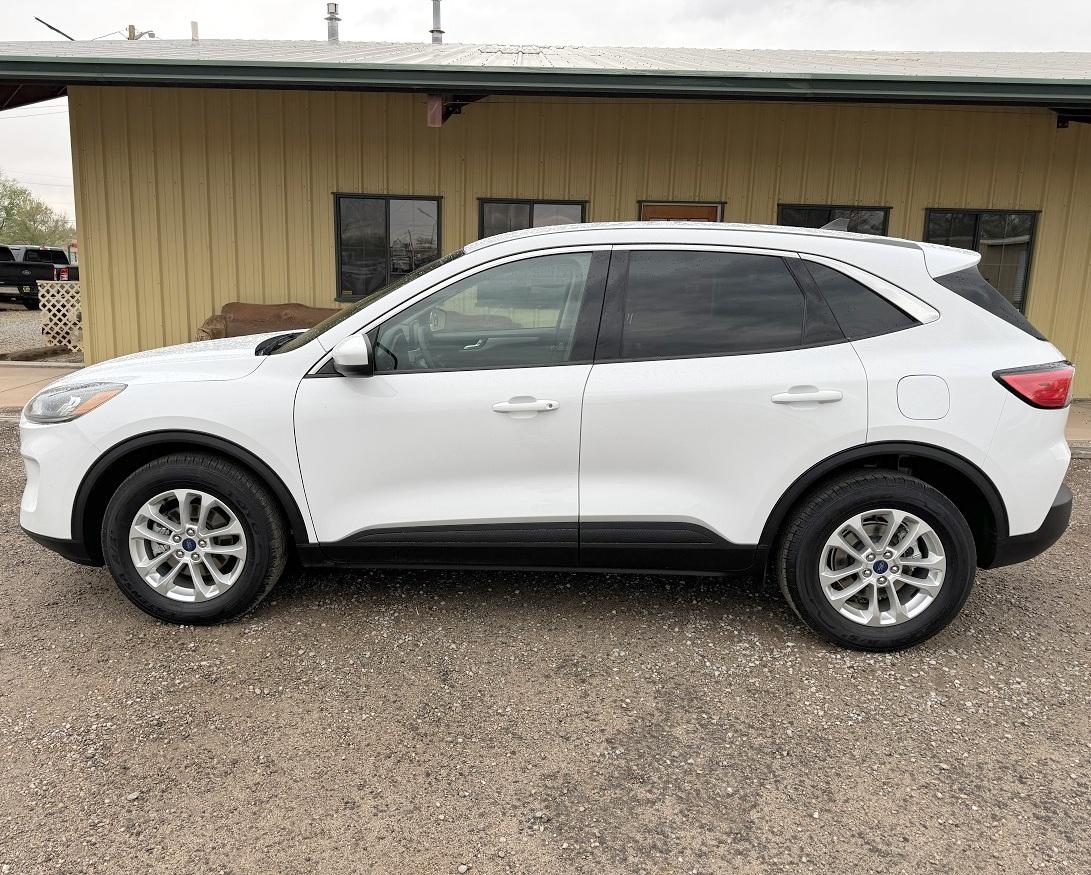 Ford Escape SE AWD 2020