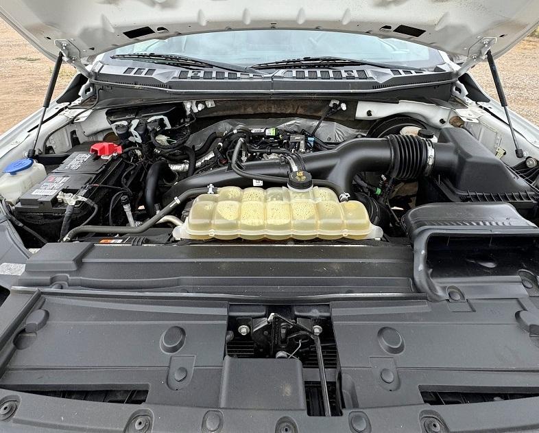 Ford F-150 XL 2WD SuperCrew 5.5' Box 2020