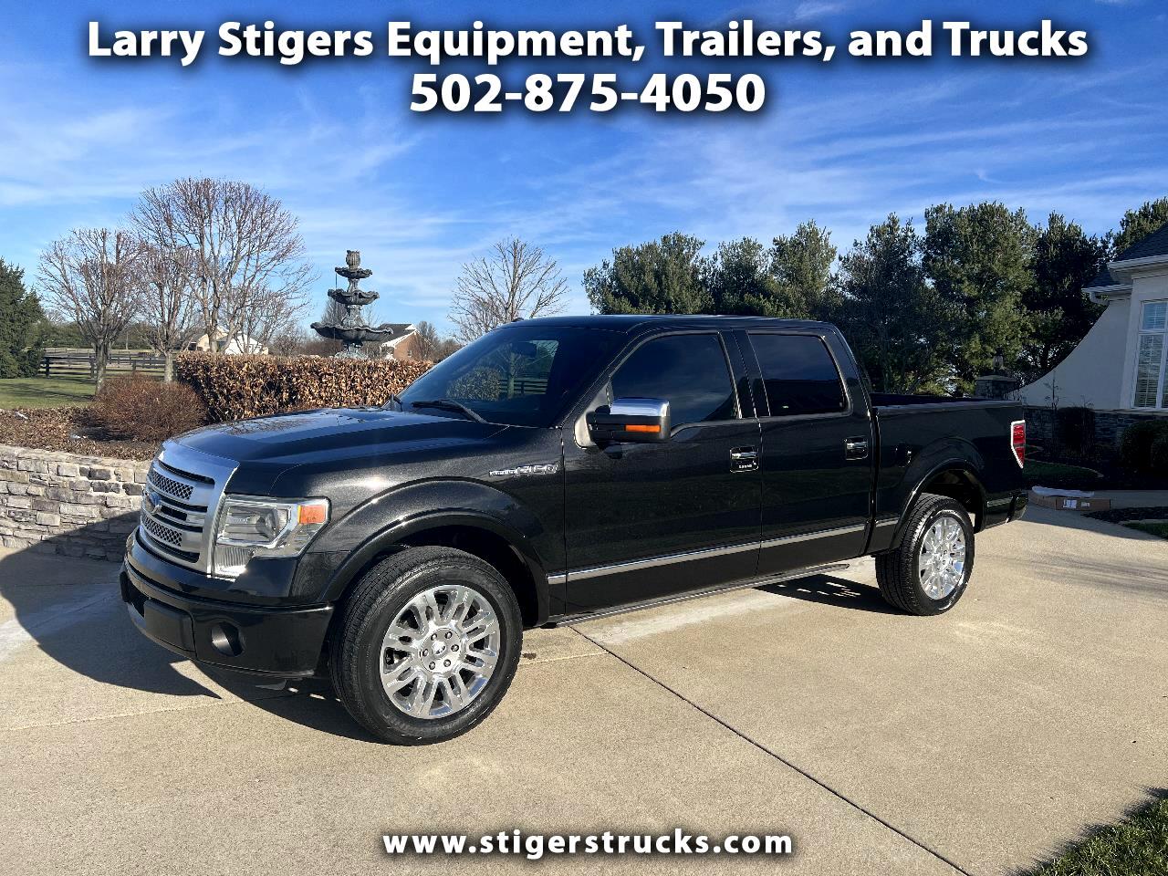 Ford F-150 Platinum SuperCrew 5.5-ft. Bed 2WD 2014