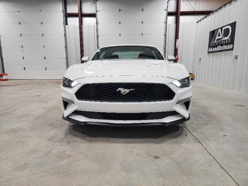 Ford Mustang EcoBoost Fastback 2019