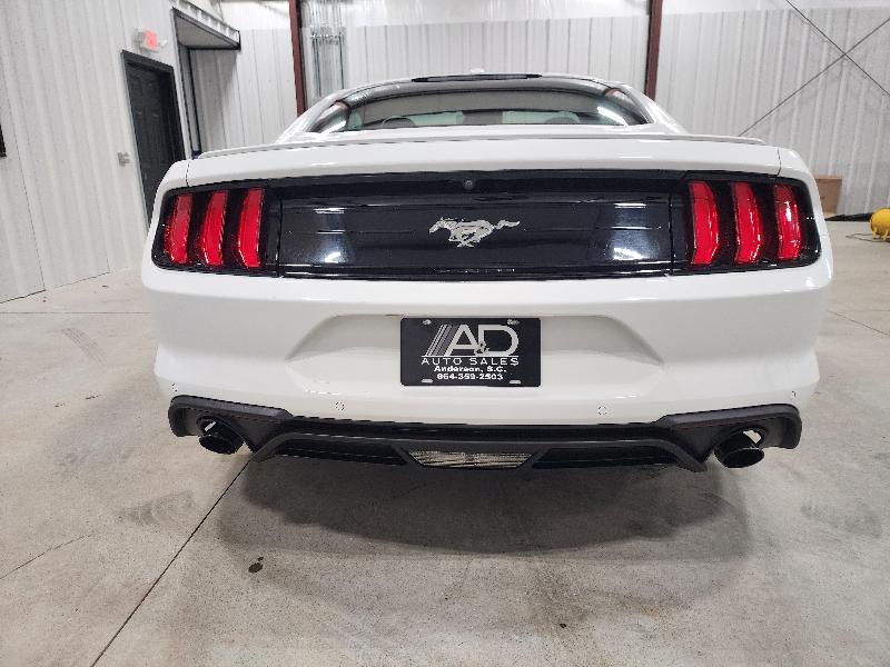 Ford Mustang EcoBoost Fastback 2019