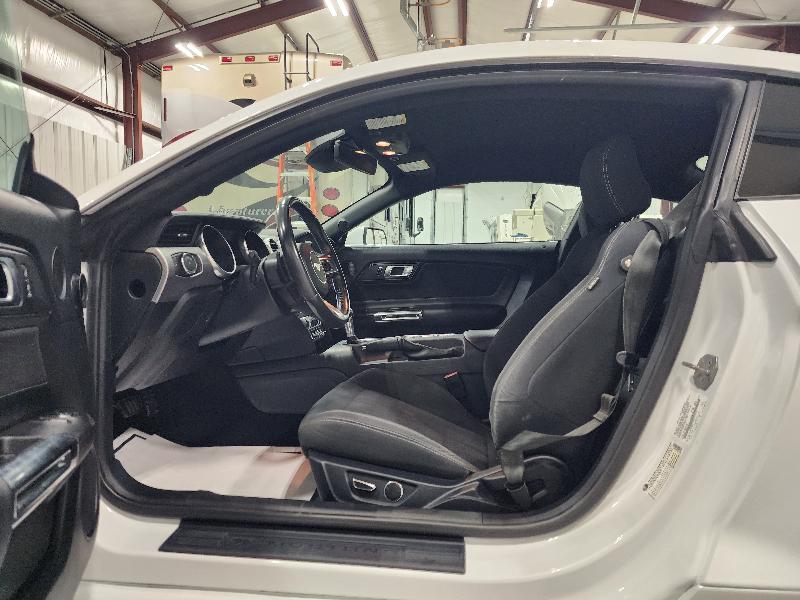 Ford Mustang EcoBoost Fastback 2019