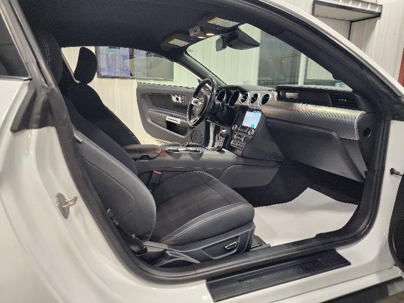 Ford Mustang EcoBoost Fastback 2019