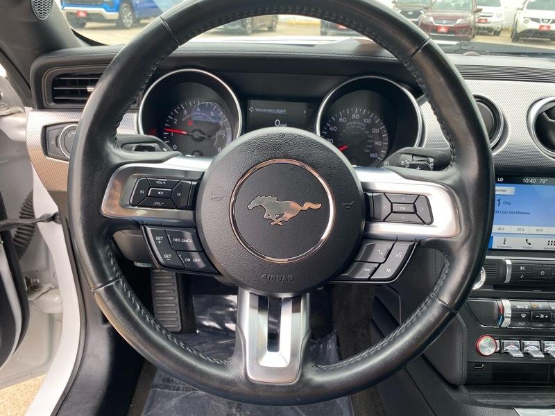 Ford Mustang EcoBoost Fastback 2018